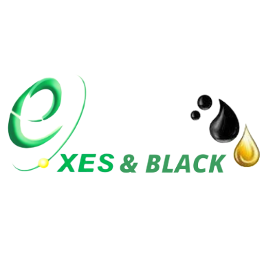 Logo Xes & Black